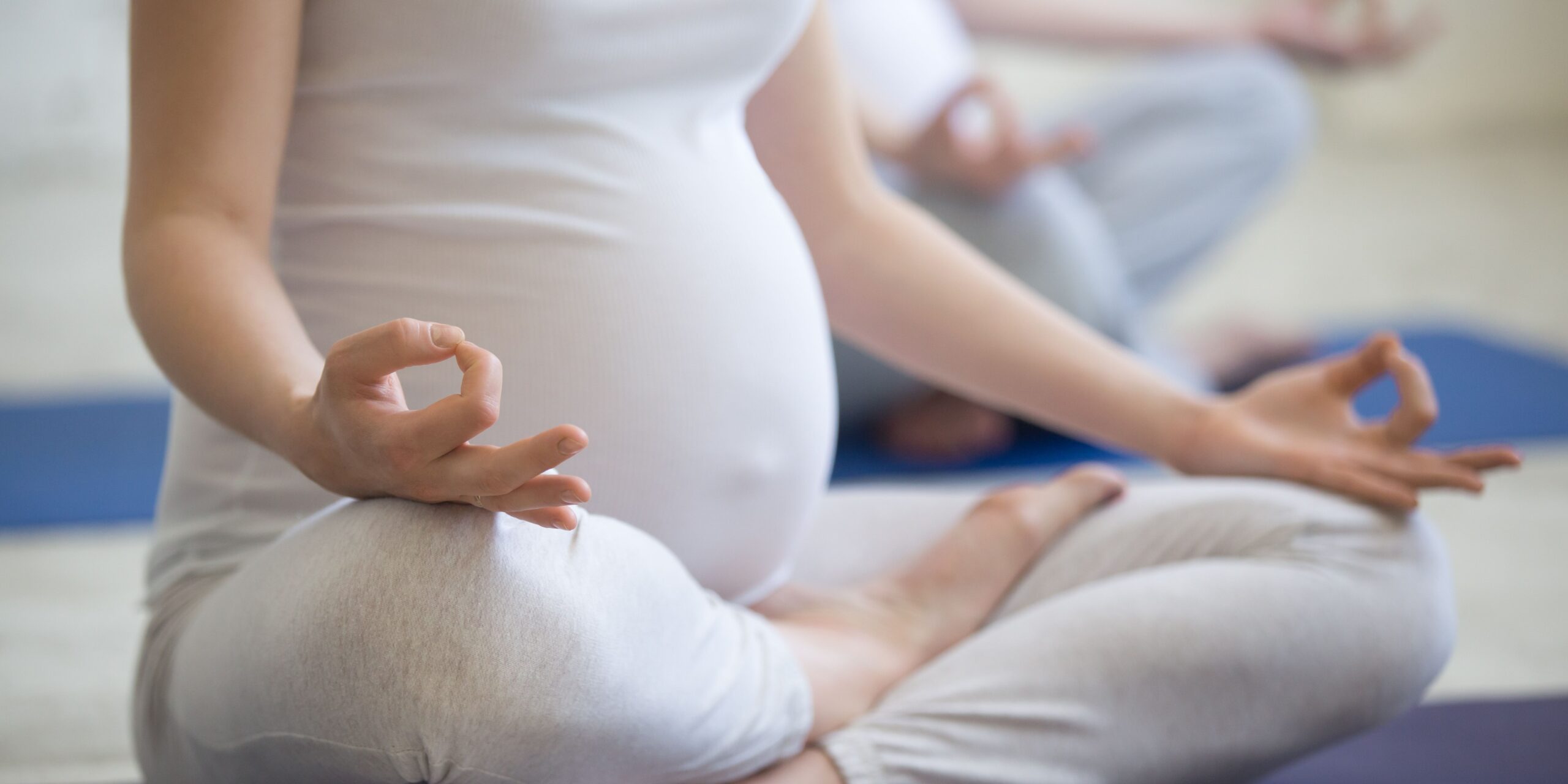Home Prenatal Care Services