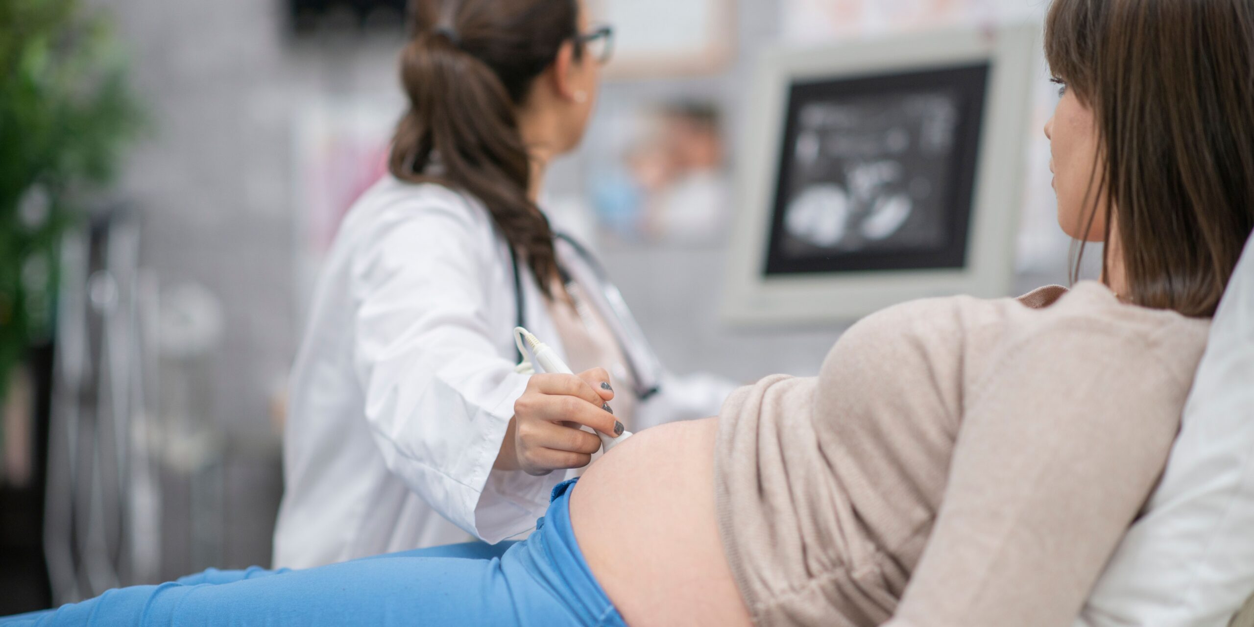 Home Prenatal Care Services